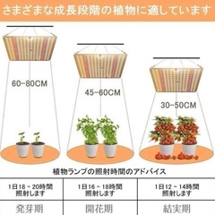 新品❤2個セット 植物育成ライト LED育成ライト 高輝度 水耕栽培 フルスペクトルの画像