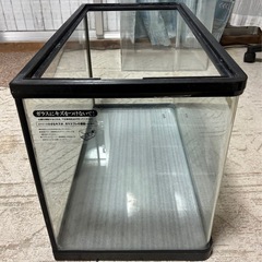 曲げガラス水槽60cm(FivePlan)1本の画像