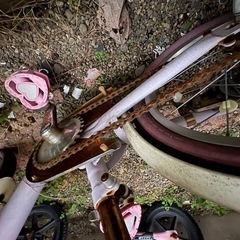 子供　自転車　プリンセス　の画像
