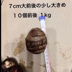 ①  里芋1kg の画像