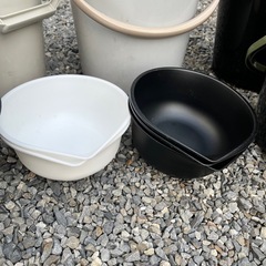 メダカバケツ・選別ボール・青タライ　などの画像