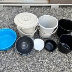 メダカバケツ・選別ボール・青タライ　などの画像