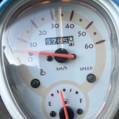 おしゃれなスクーピー！の画像