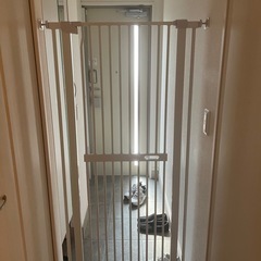 RAKU ペットゲート 猫 高さ155cmの画像