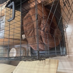 N&S ペットケージの画像