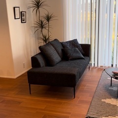 ソファ の画像