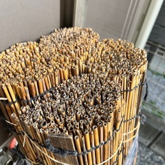 すだれ☀️メダカ・針子・金魚飼育に🐟の画像