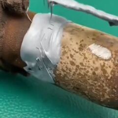 ★強力接着剤の画像