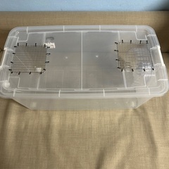 ハムスター飼育セット中古美品　　の画像