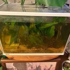 【受付中止中】引取り限定で差し上げますの画像