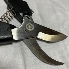 【期間限定 早い物勝ち】剪定ばさみ 家庭菜園 ガーデニング 生花 園芸 軽量タイプの画像