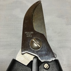 【期間限定 早い物勝ち】剪定ばさみ 家庭菜園 ガーデニング 生花 園芸 軽量タイプの画像