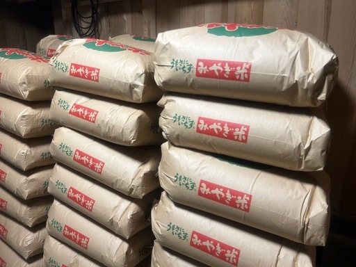 【新米】令和7年　宮城県産　ひとめぼれ　玄米　30kg　米袋入