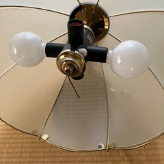 おしゃれ
天井照明の画像