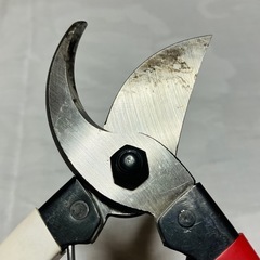 【期間限定 早い物勝ち】最高級！岡恒 剪定鋏 180mm 盆栽 家庭菜園 園芸 枝切り ガーデニングの画像