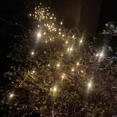 ソーラー式・イルミネーション・ジュエリーライト・二つセットの画像