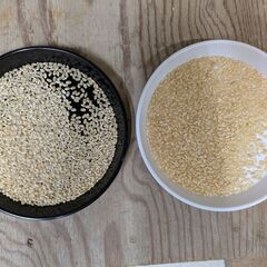 令和7年　奈良県産　ヒノヒカリ　玄米　30kg⑨の画像