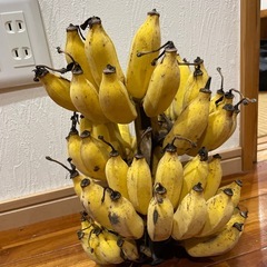 島バナナの画像