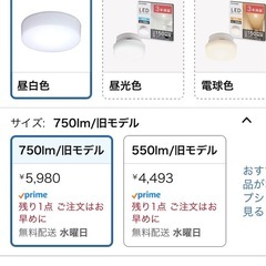 アイリスオーヤマ LEDライト の画像