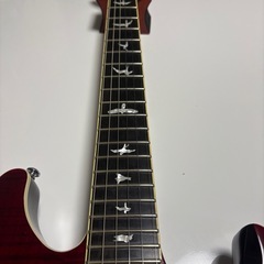 PRS SE TORERO 限定生産モデルの画像