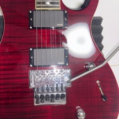 PRS SE TORERO 限定生産モデルの画像