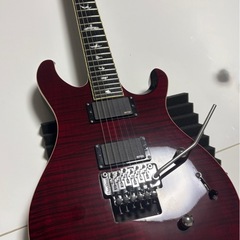 PRS SE TORERO 限定生産モデルの画像