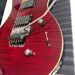 PRS SE TORERO 限定生産モデルの画像