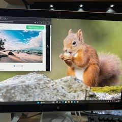 Apple LED Cinema Display　モニター A1267 の画像