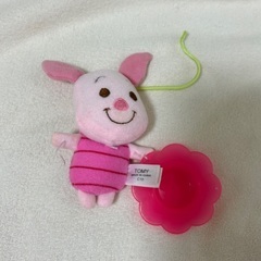 プーメリーの画像