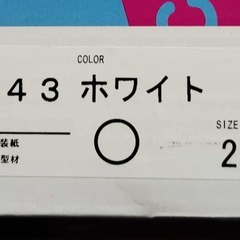 ASAHI(アサヒ)  ガールズの画像
