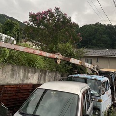 クレーンの画像