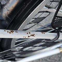 ✨️ジモティー割引✨️【ジャングルジャングル堺初芝店】 軽快車　ホワイト　26インチ　堺市（東区　西区　北区　南区　堺区　美原区）高石市　泉大津市　忠岡町　和泉市　松原市　大阪狭山市の画像