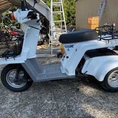 ③ ジャイロx TD02 4ストの画像