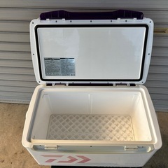 クーラーボックス　DAIWA ライトトランク4 20Lの画像