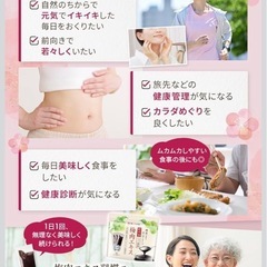 【新品】紀州梅 梅肉エキス 個包装 3g×20包 常温保存 美容 健康の画像
