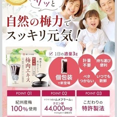 【新品】紀州梅 梅肉エキス 個包装 3g×20包 常温保存 美容 健康の画像