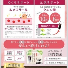 【新品】紀州梅 梅肉エキス 個包装 3g×20包 常温保存 美容 健康の画像