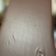 luxia(ラクシア)エステ ベッドの画像