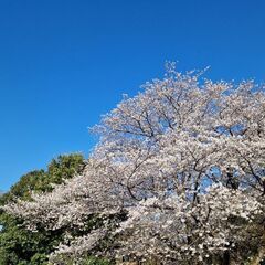 メル友募集です