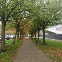 メル友募集です - 千代田区