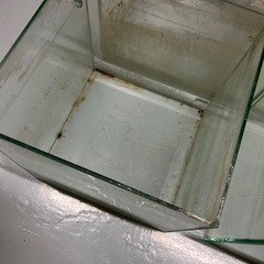 ガラス水槽　正方形 GEXの画像