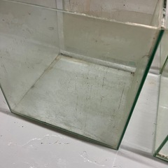 ガラス水槽　正方形 GEXの画像
