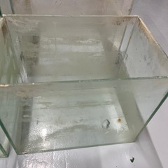 ガラス水槽　正方形 GEXの画像