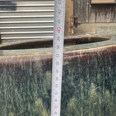 火鉢、金魚鉢、メダカの画像