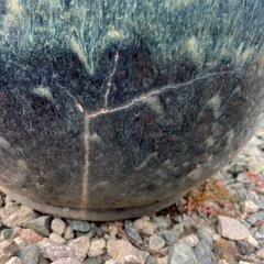 火鉢、金魚鉢、メダカの画像