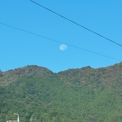 LINEグループ(📞'ω')