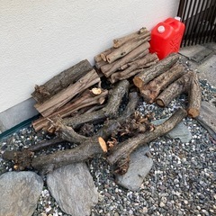 薪　伐採した木　焚き火、薪ストーブに要りませんかの画像