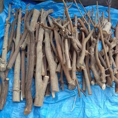 世田谷区近辺配送可能　太枝　薪　伐採枝木　伐採丸太　木材　太さ約4㎝～7㎝・一部10㎝　の画像