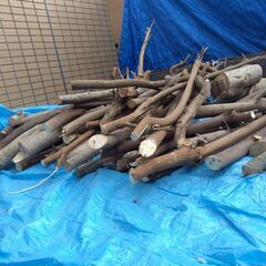 世田谷区近辺配送可能　太枝　薪　伐採枝木　伐採丸太　木材　太さ約4㎝～7㎝・一部10㎝　の画像
