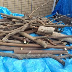 世田谷区近辺配送可能　太枝　薪　伐採枝木　伐採丸太　木材　太さ約4㎝～7㎝・一部10㎝　の画像